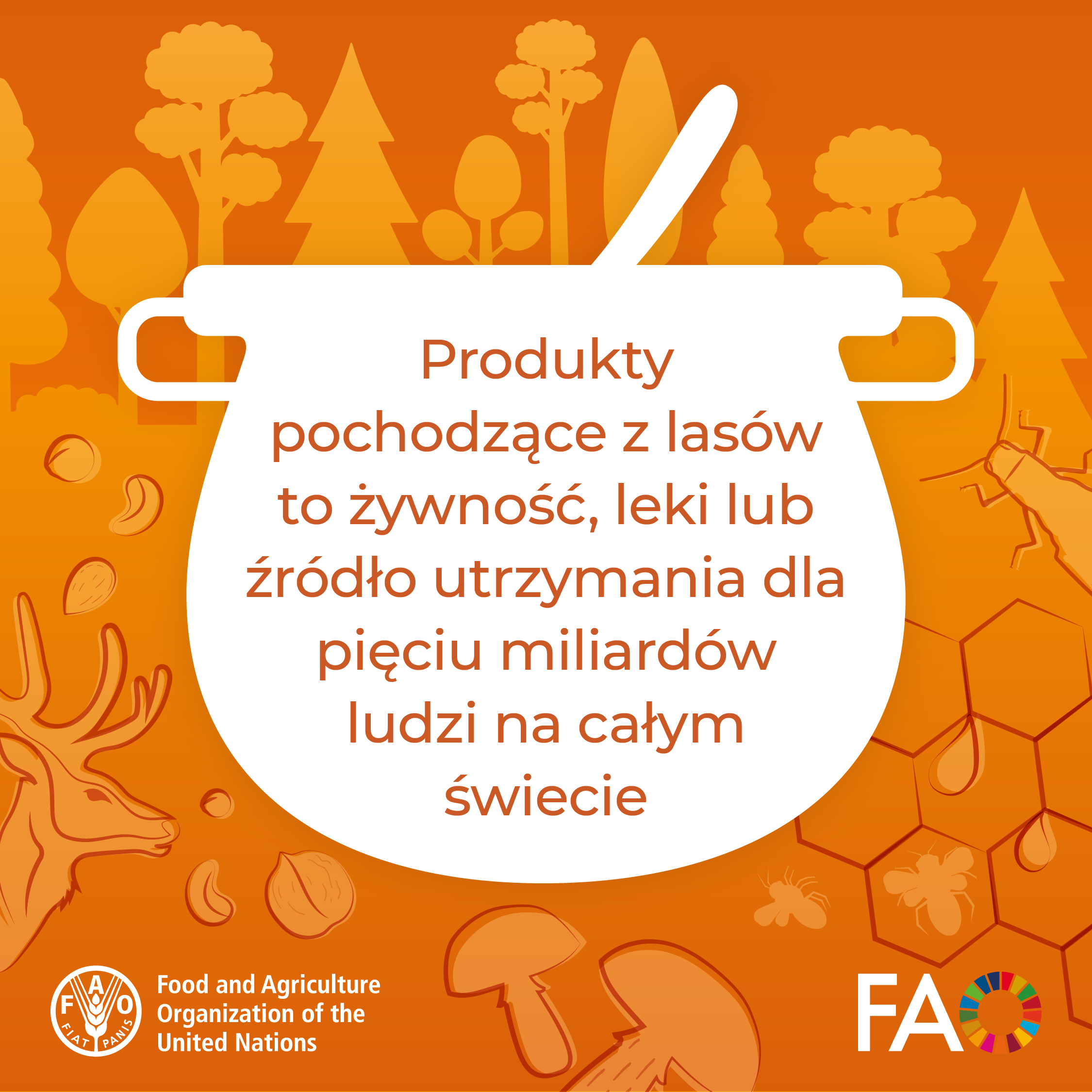 Grafika z kociołkiem i leśnymi motywami w tle informująca, że lasy zapewniają pożywienie, lekarstwa i środki do życia miliardom ludzi. Źródło: FAO