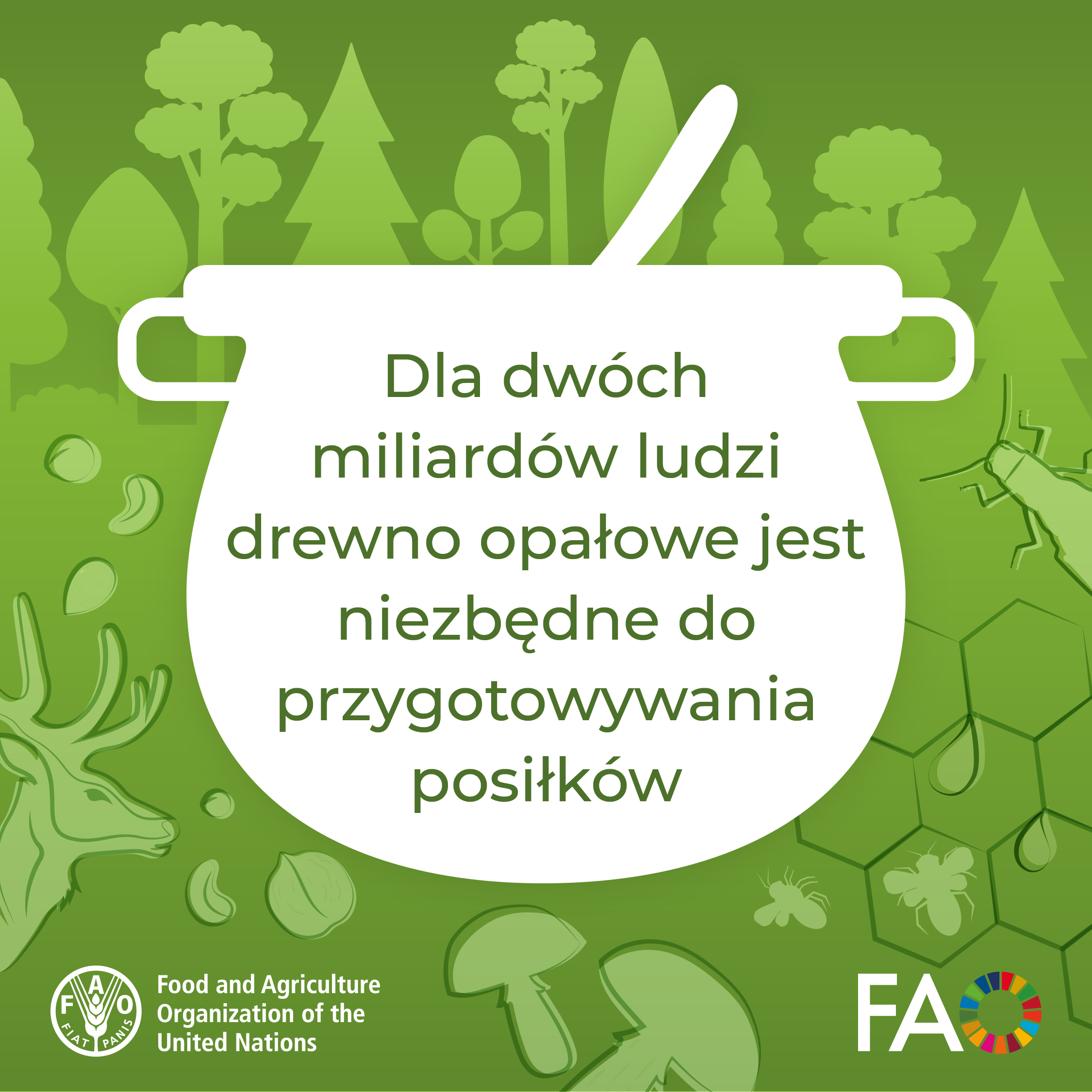 Grafika z kociołkiem i leśnymi motywami w tle informująca, że ponad 2 miliardy ludzi korzysta z drewna przy przygotowaniu posiłków. Źródło: FAO