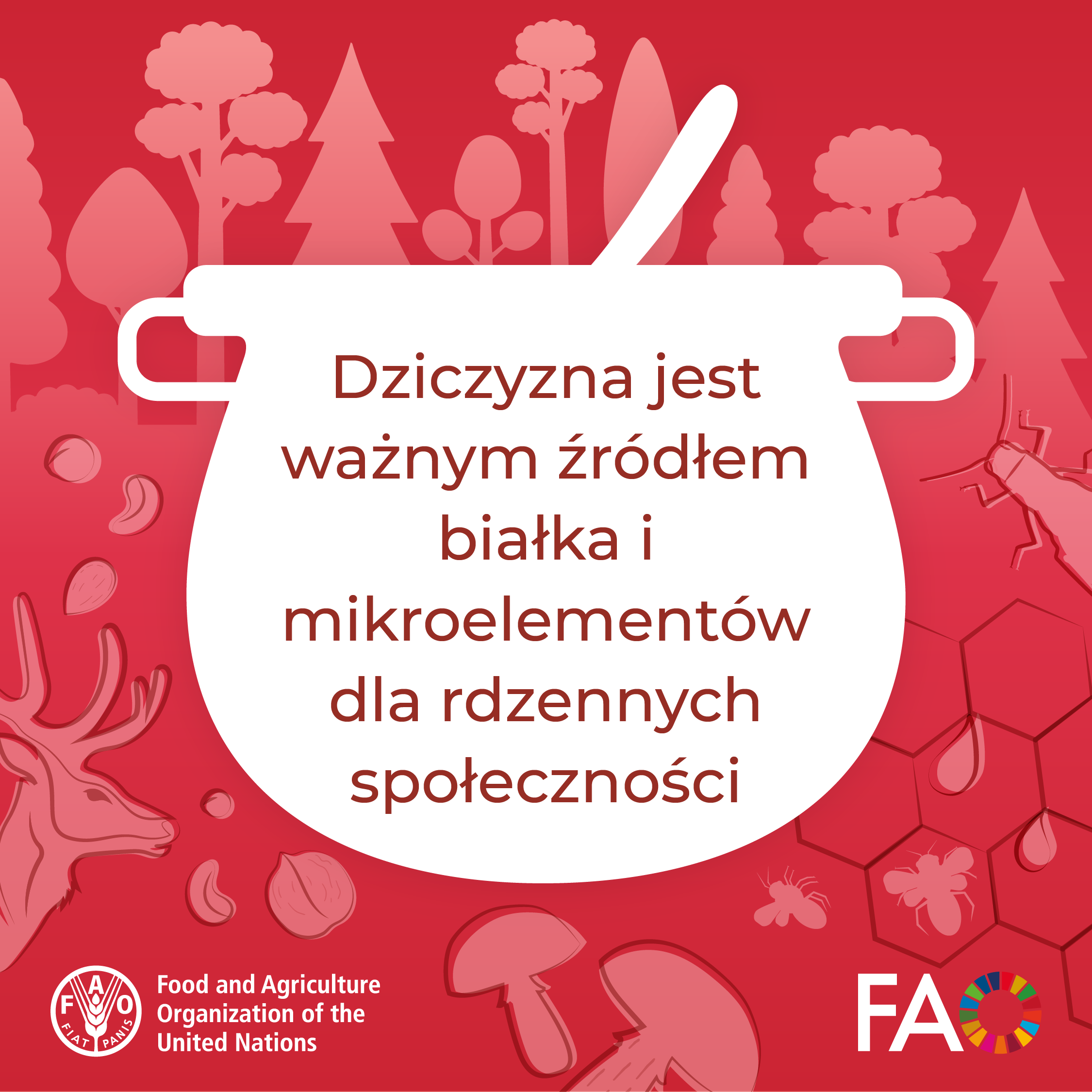 Grafika z kociołkiem i leśnym motywem w tle informująca, że lasy mają kluczowe znaczenie dla rolnictwa. Źródło FAO