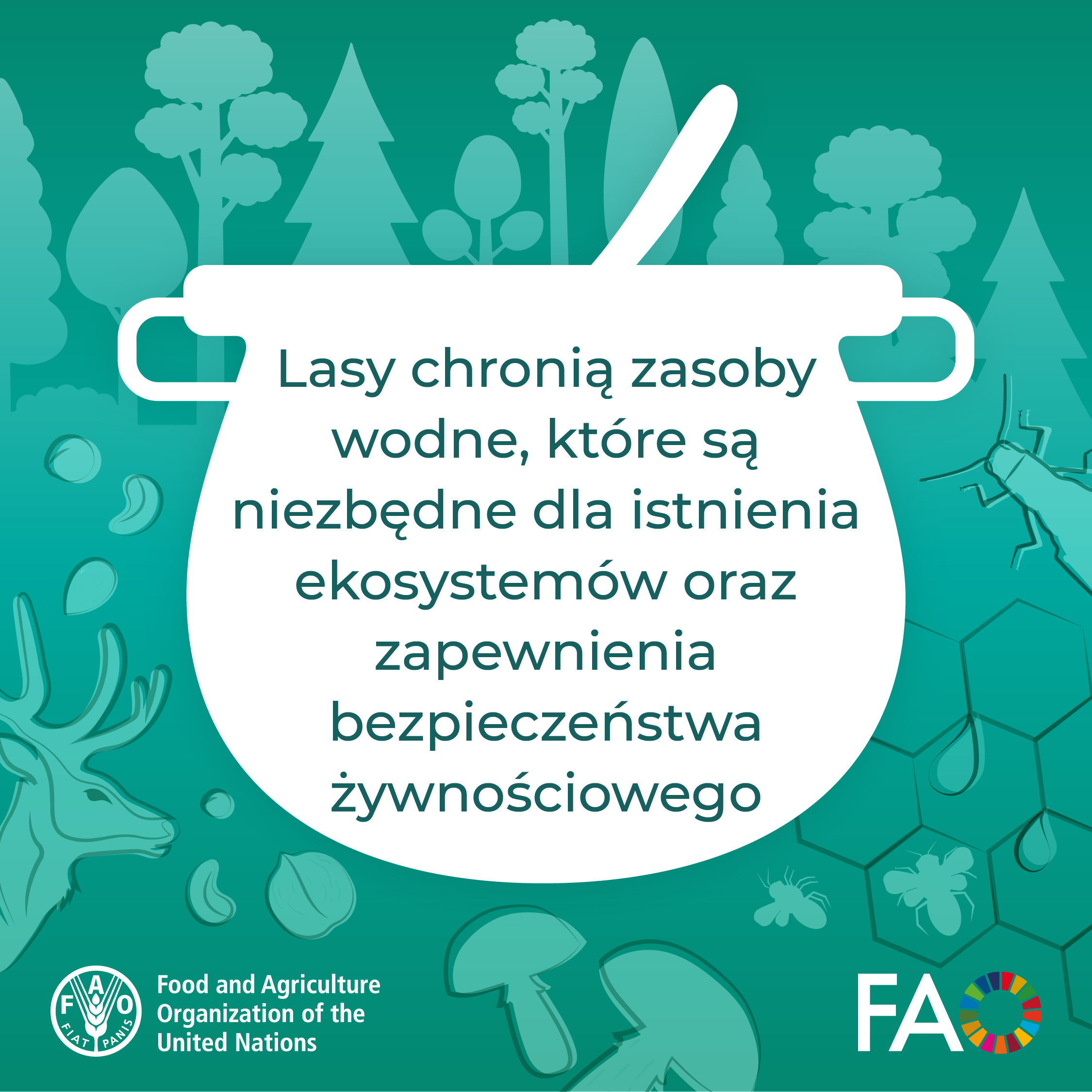 Grafika z kociołkiem i motywem leśnym w tle informująca, że lasy chronią zasoby wodne, które są niezbędne dla istnienia ekosystemów oraz zapewnienia bezpieczeństwa żywnościowego. Źródło: FAO.