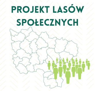 Projekt Lasów Społecznych - Podsumowanie