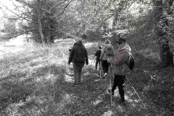 Nordic&#x20;Walking&#x20;w&#x20;Żerkowsko-Czeszewskim&#x20;Parku&#x20;Krajobrazowym