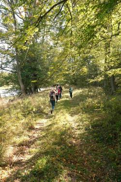 Nordic&#x20;Walking&#x20;w&#x20;Żerkowsko-Czeszewskim&#x20;Parku&#x20;Krajobrazowym