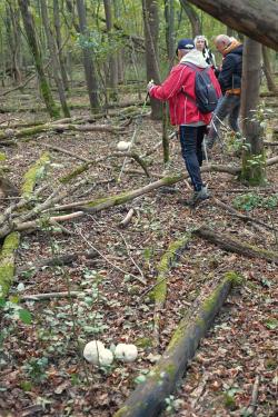 Nordic&#x20;Walking&#x20;w&#x20;Żerkowsko-Czeszewskim&#x20;Parku&#x20;Krajobrazowym