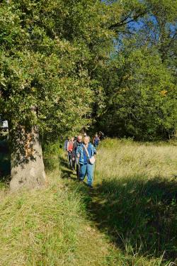 Nordic&#x20;Walking&#x20;w&#x20;Żerkowsko-Czeszewskim&#x20;Parku&#x20;Krajobrazowym