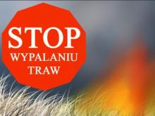 Lasy Państwowe partnerem kampanii społecznej "Stop pożarom traw"