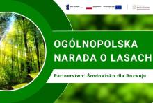 Stanowisko Lasów Państwowych po Ogólnopolskiej Naradzie o Lasach