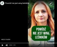 Powódź nie jest winą leśników