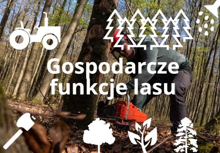 Gospodarcza&#x20;funkcja&#x20;lasów