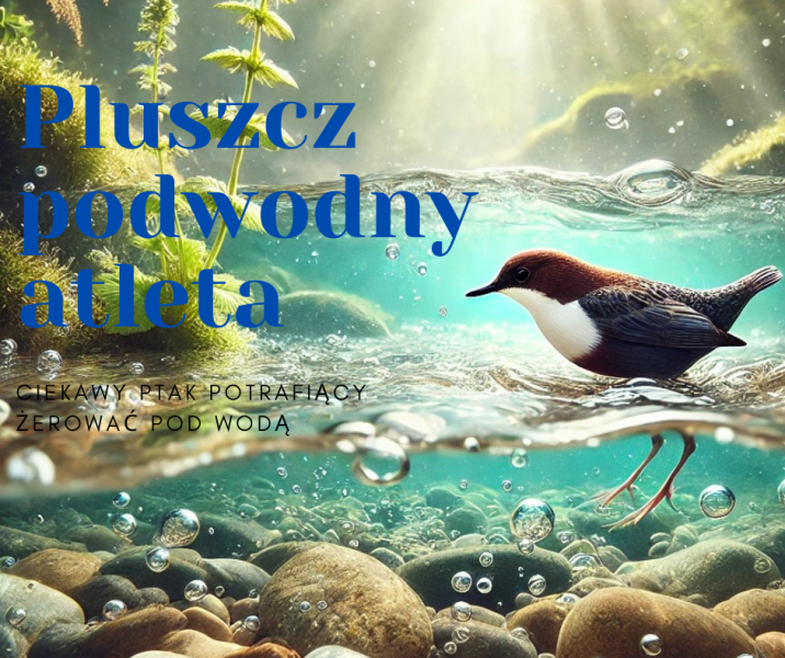 Grafika&#x20;przedstawia&#x20;Pluszcza&#x20;żerującego&#x20;w&#x20;strumieniu&#x20;Graf&#x2e;&#x20;AI-GPT&#x2c;&#x20;Canva