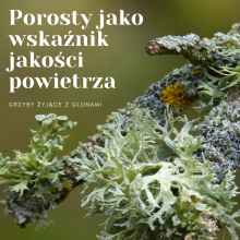 Sprawdź, jakim powietrzem oddychasz