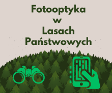 Fotooptyka w Lasach Państwowych coraz bliżej