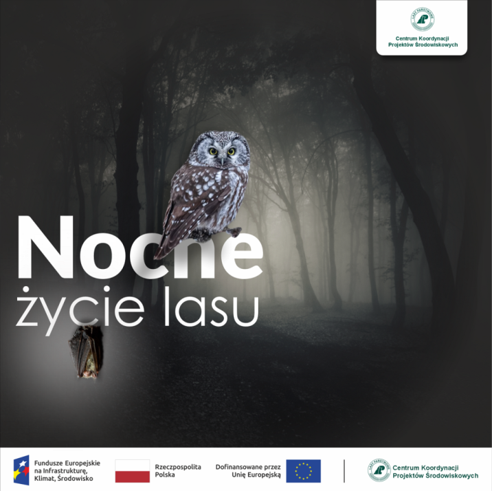 Plakat&#x20;przedstawia&#x20;zwierzęta&#x20;w&#x20;nocnej&#x20;odsłonie&#x20;wraz&#x20;logowanie&#x20;i&#x20;hasłem&#x20;projektu&#x3a;&#x20;&#x22;Nocne&#x20;życie&#x20;lasu&#x22;