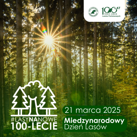 „Lasy na nowe 100-lecie” Foto-relacja