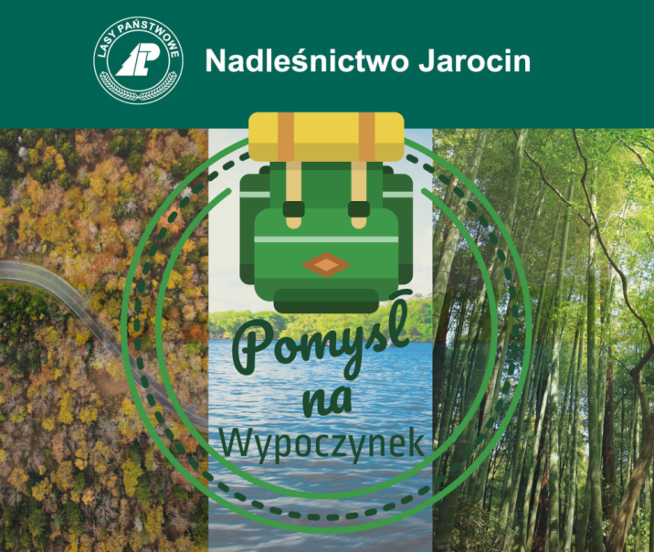 Atrakcje&#x20;w&#x20;Nadleśnictwie&#x20;Jarocin