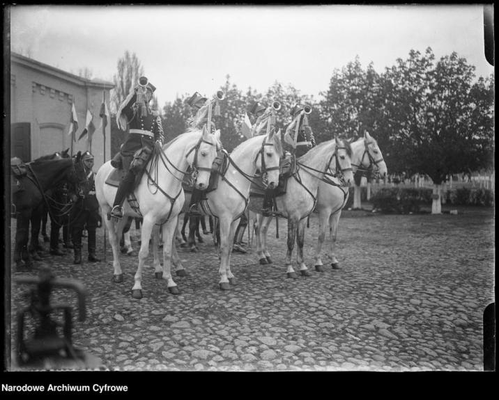 Święto&#x20;3&#x20;Maja&#x20;w&#x20;Warszawie&#x20;w&#x20;1925&#x20;r&#x2e;&#x2f;&#x20;Fot&#x2e;&#x20;Narodowe&#x20;Archiwum&#x20;Cyfrowe&#x2c;&#x20;źródło&#x3a;&#x20;www&#x2e;lasy&#x2e;gov&#x2e;pl&#x2e;