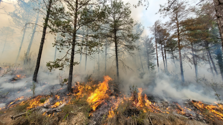 Płonący las, Fot. J. Kaczmarowski