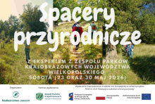 Spacery przyrodnicze – 23 i 30 maja w ramach projektu FENX